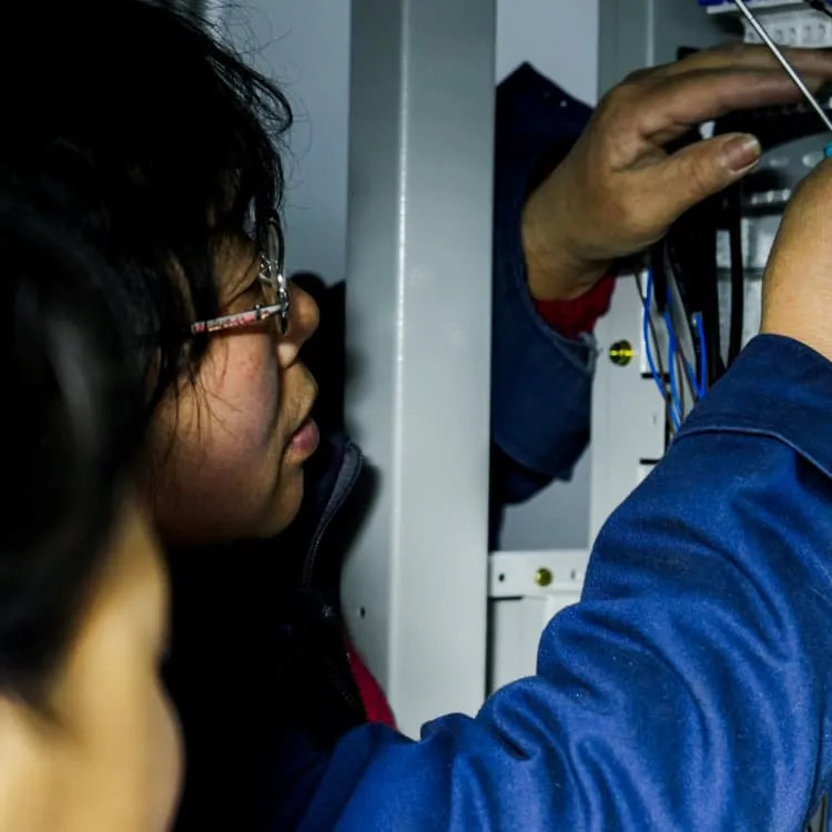 How much does a container battery energy storage system cost 
